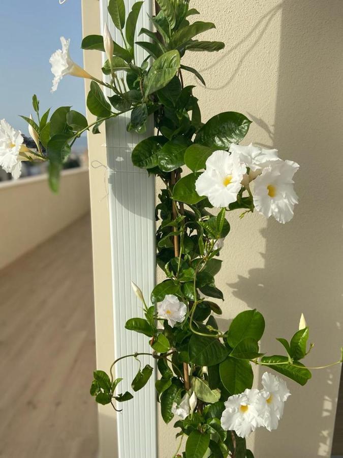 Rossini Penthouse Lägenhet Cagliari Exteriör bild
